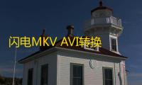 闪电MKV AVI转换器下载 12.8.5 官方最新版